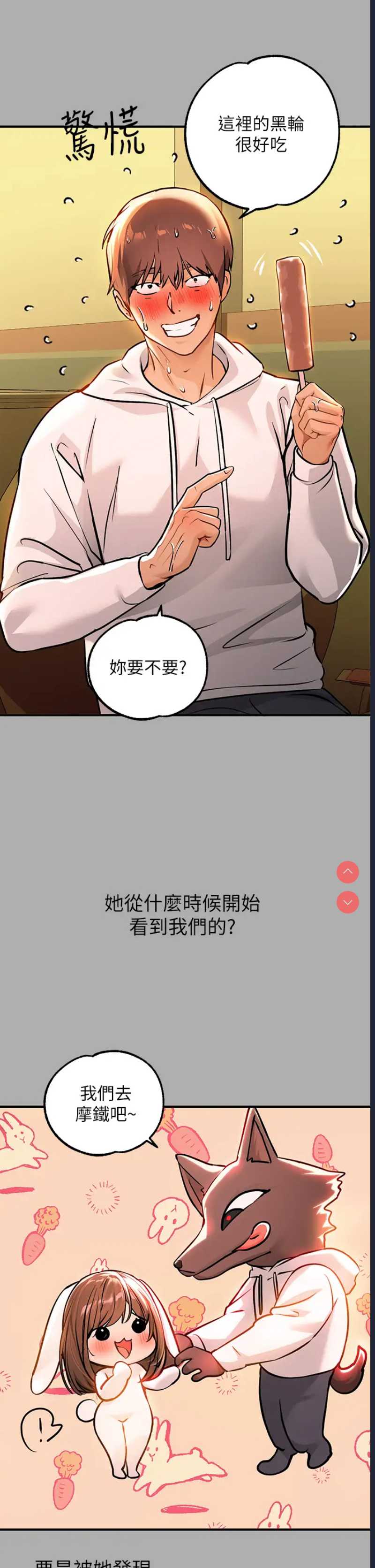 第 5 张