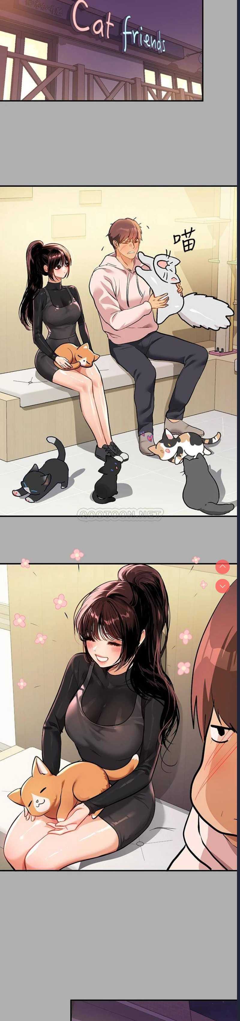 第 8 张