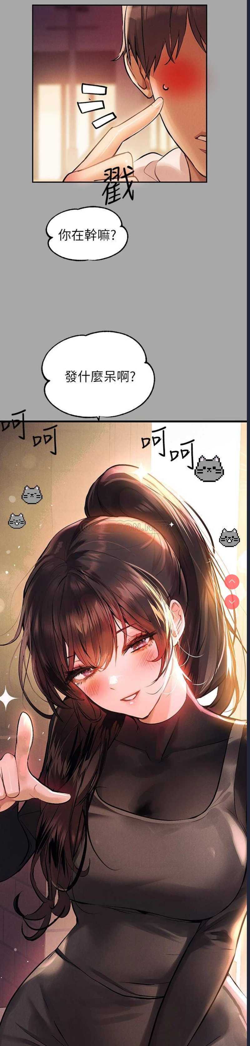 第 3 张