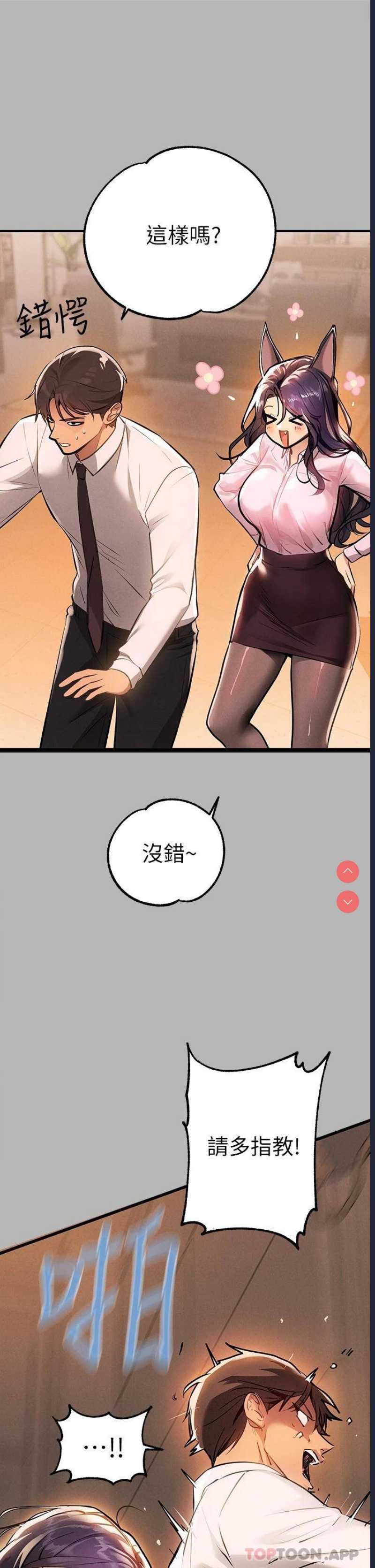 第 11 张