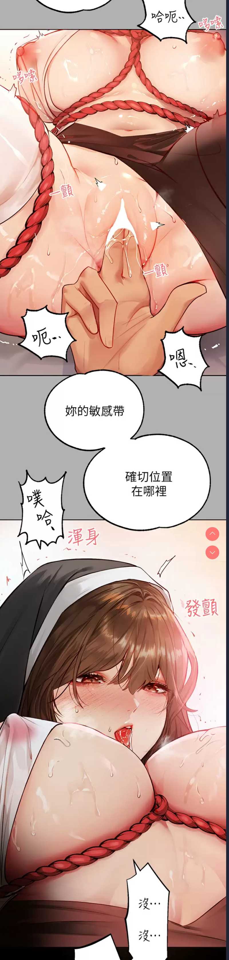 第 3 张