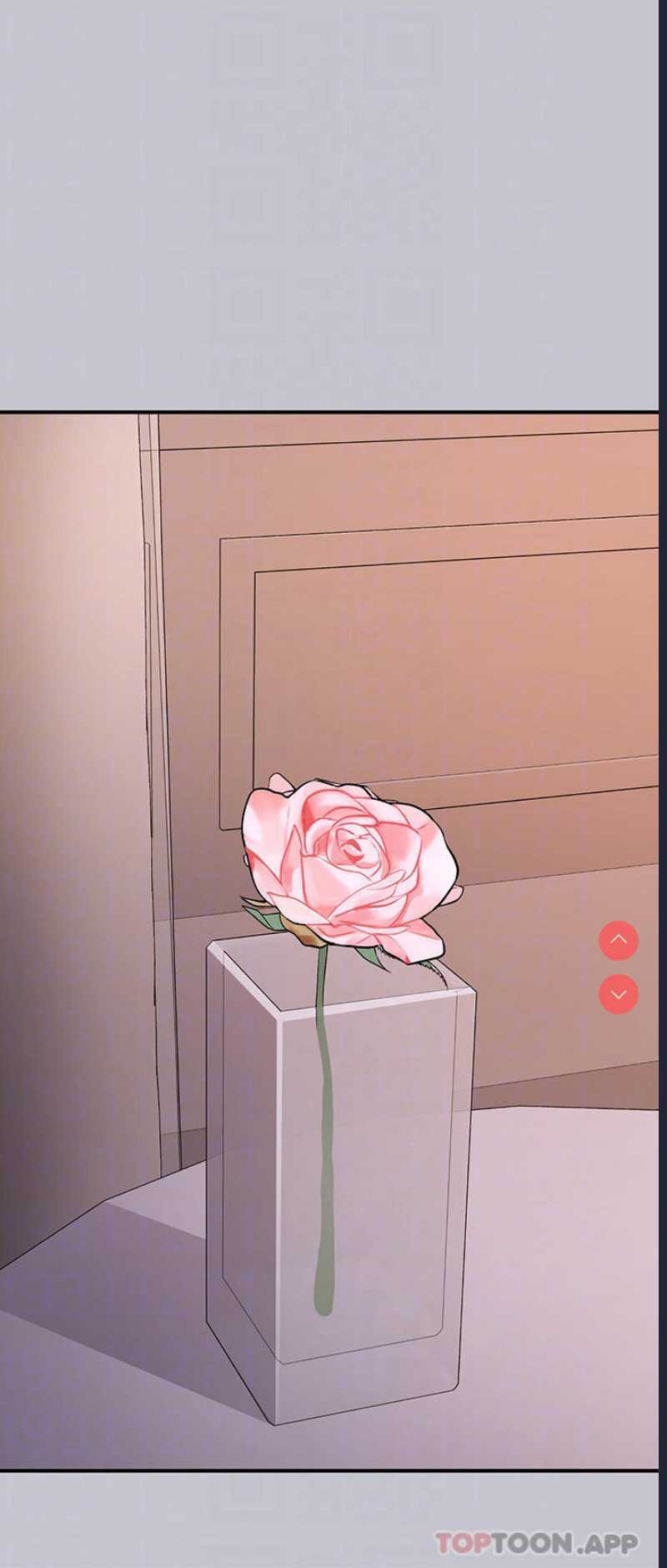 第 12 张