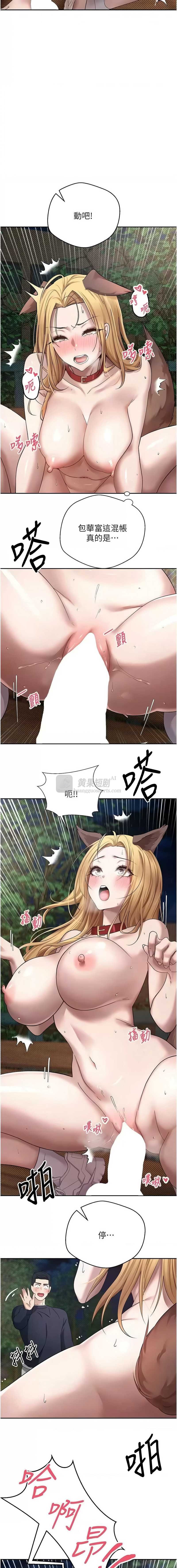 第 7 张