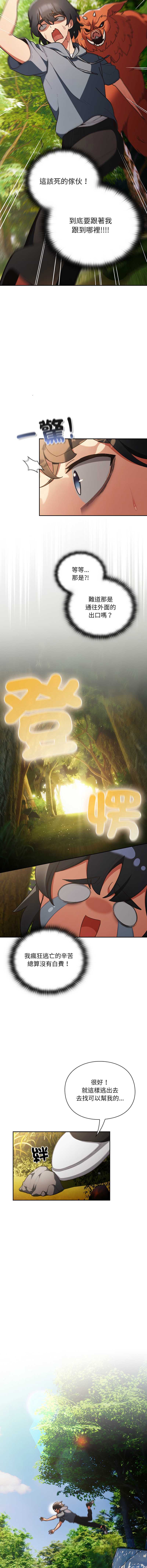 第 6 张