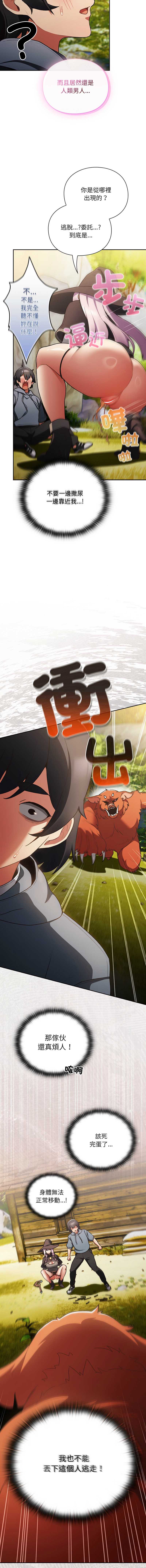 第 11 张