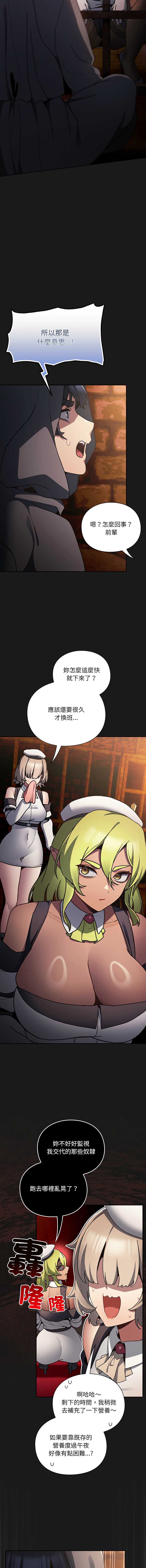 第 10 张
