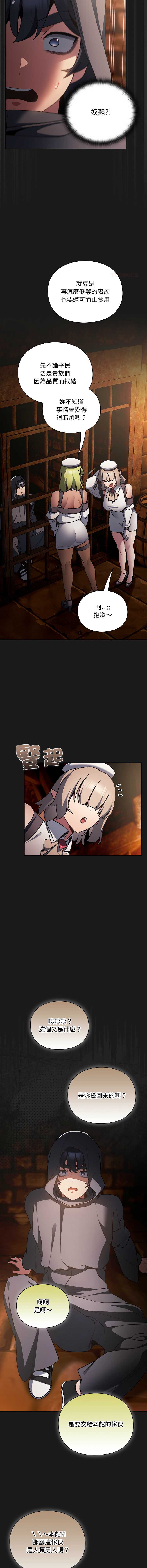 第 11 张