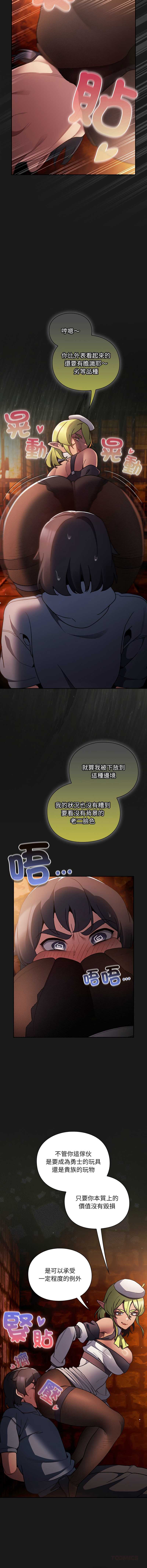 第 12 张