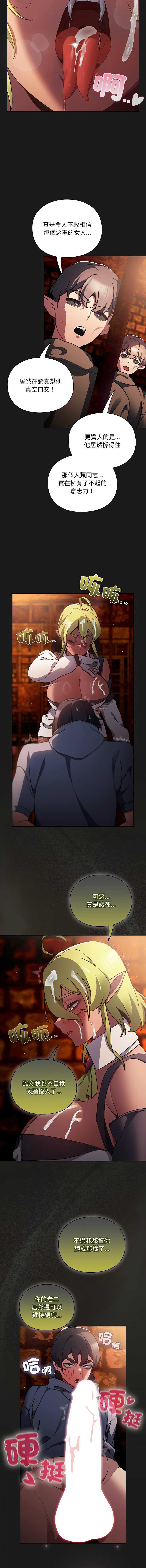 第 12 张