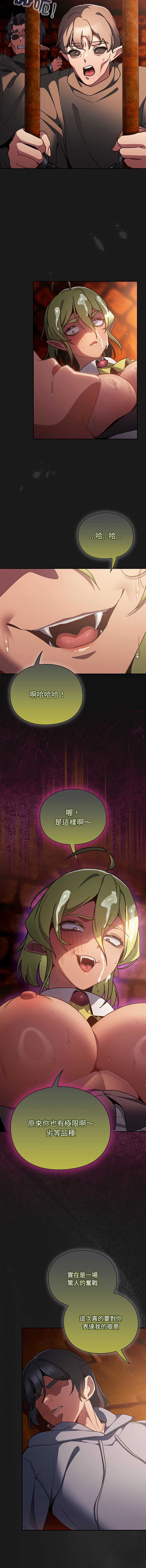 第 11 张