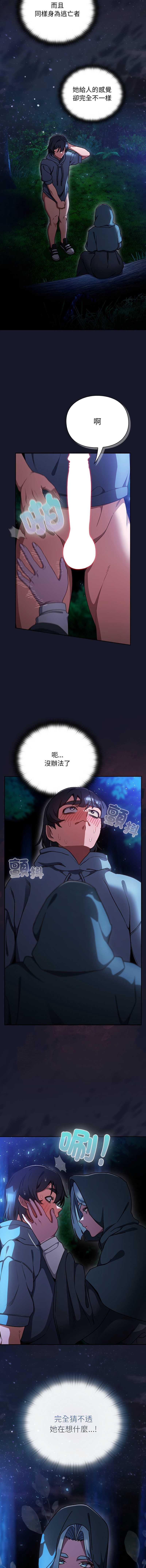 第 7 张