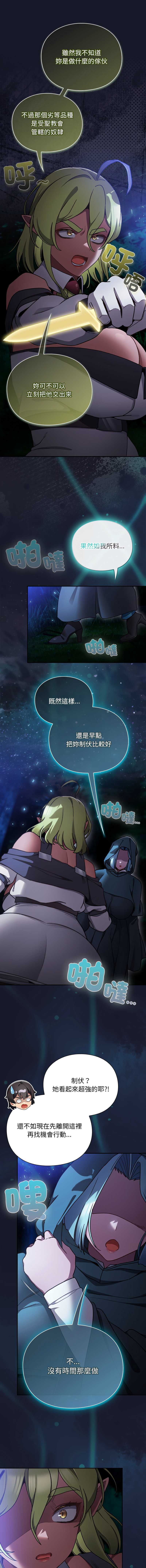 第 11 张