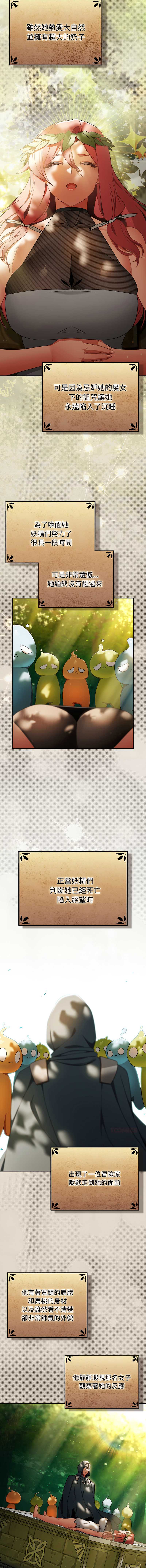 第 6 张