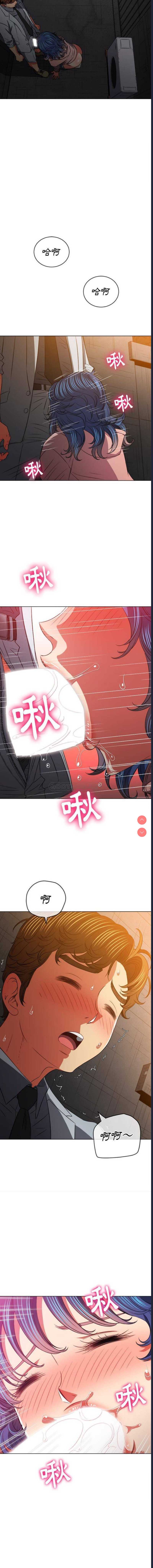第 10 张