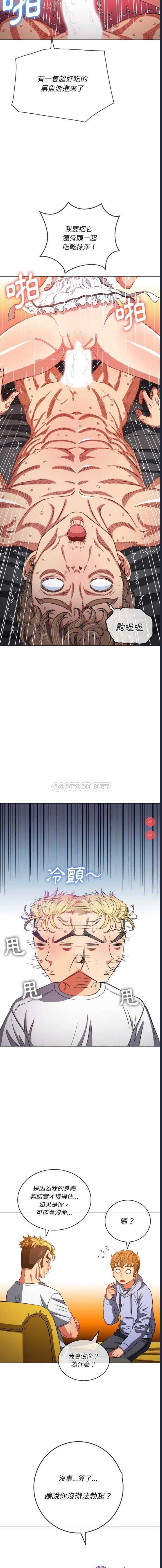第 3 张
