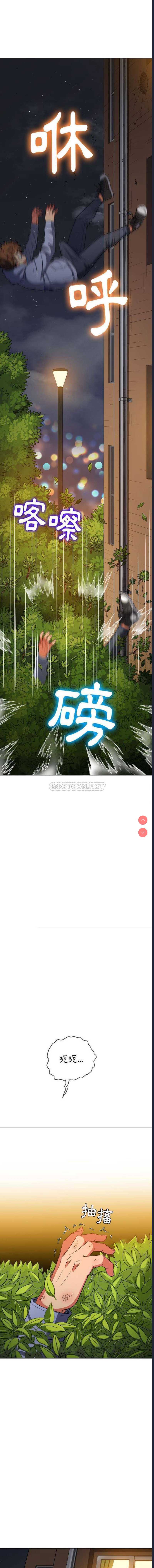 第 3 张