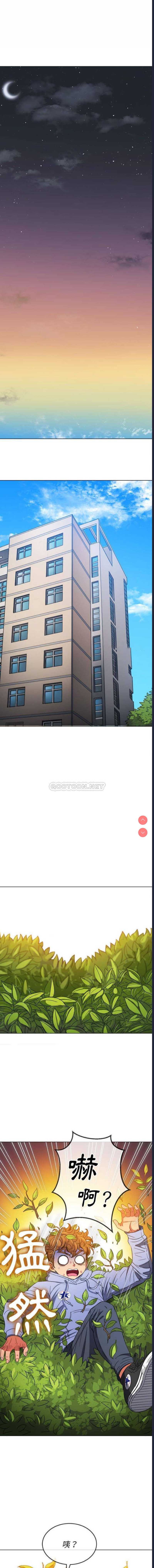 第 6 张