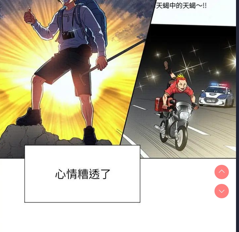 第 11 张