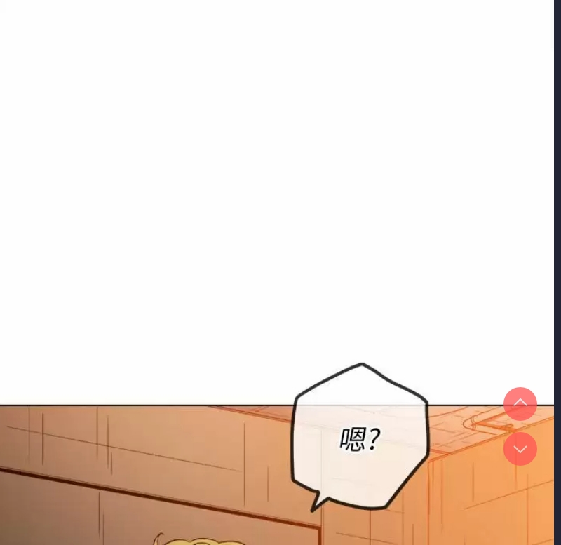 第 6 张