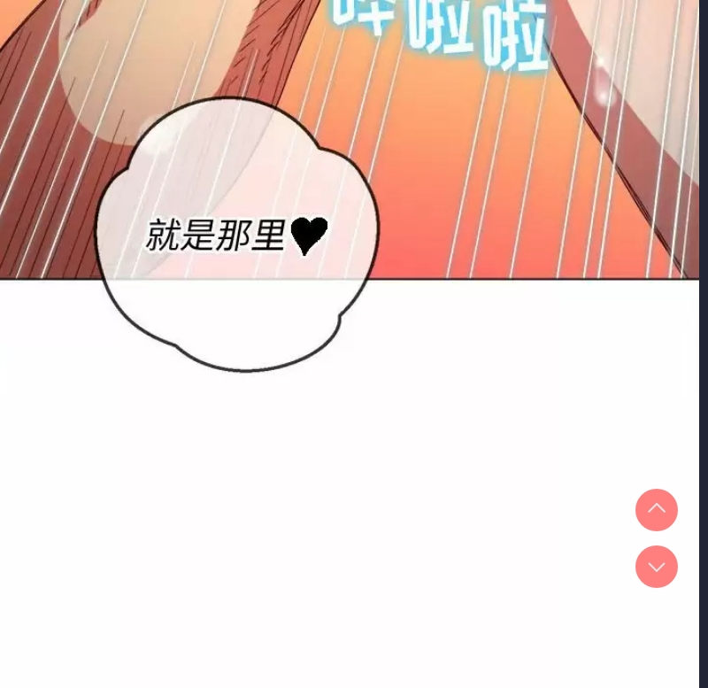第 11 张