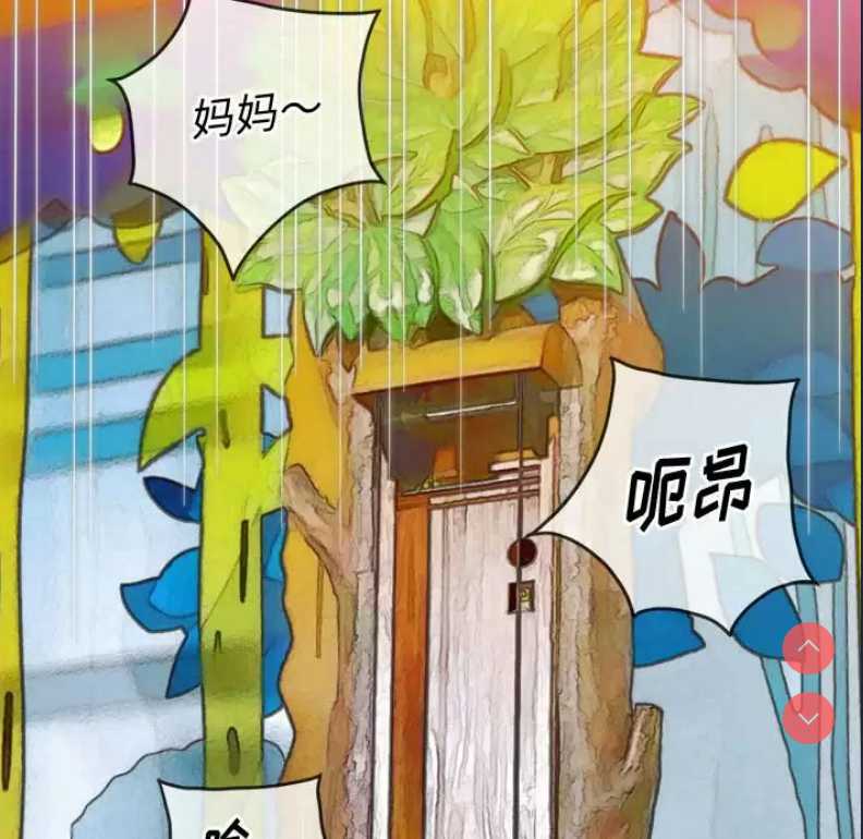 第 5 张