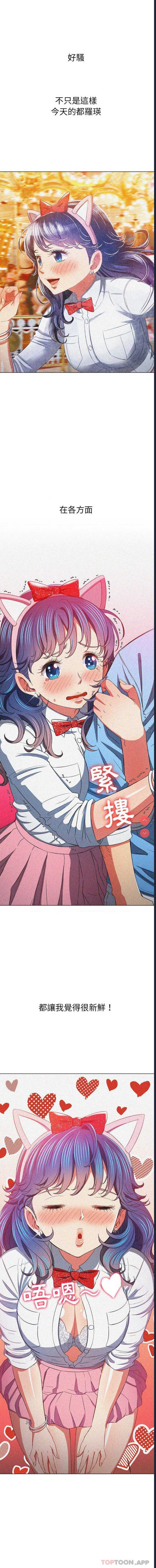 第 3 张