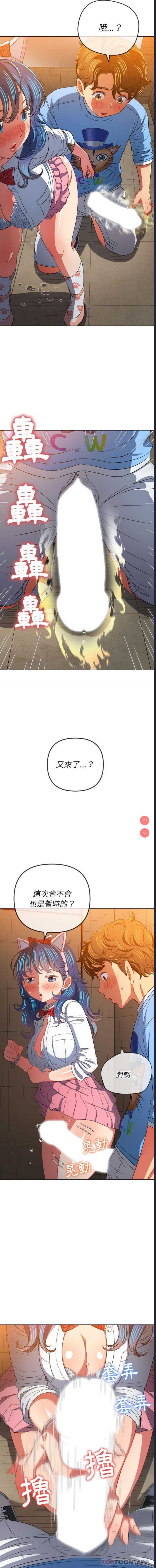 第 5 张
