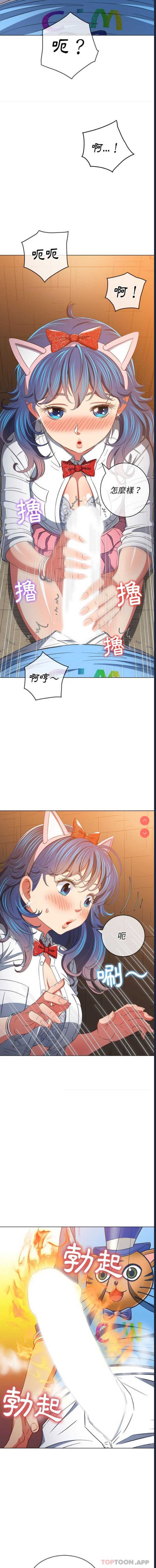 第 6 张