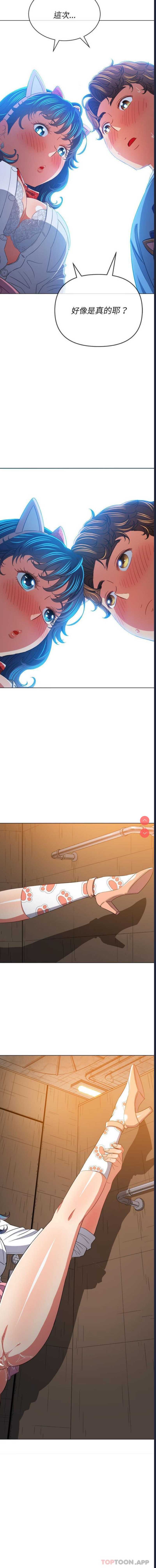 第 7 张
