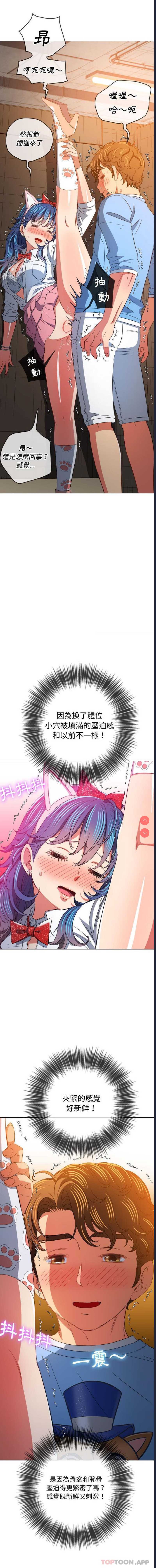 第 10 张