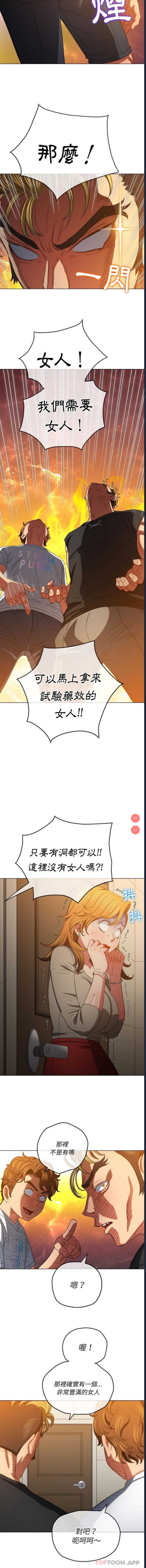 第 12 张