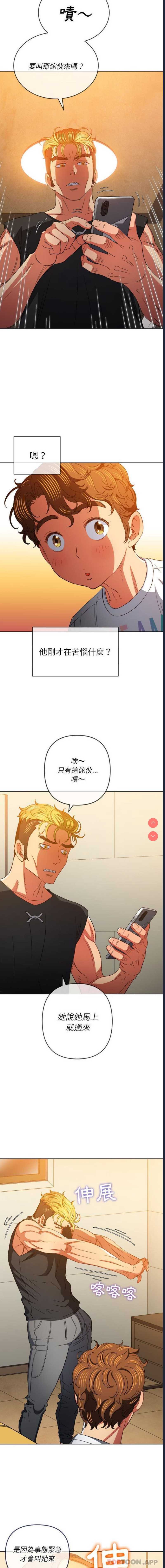第 7 张