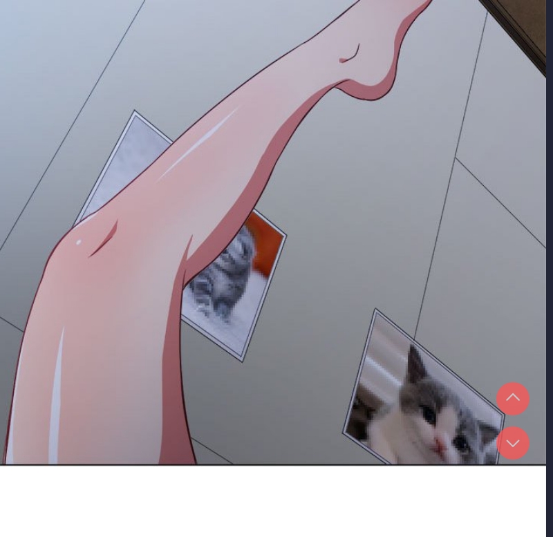 第 9 张