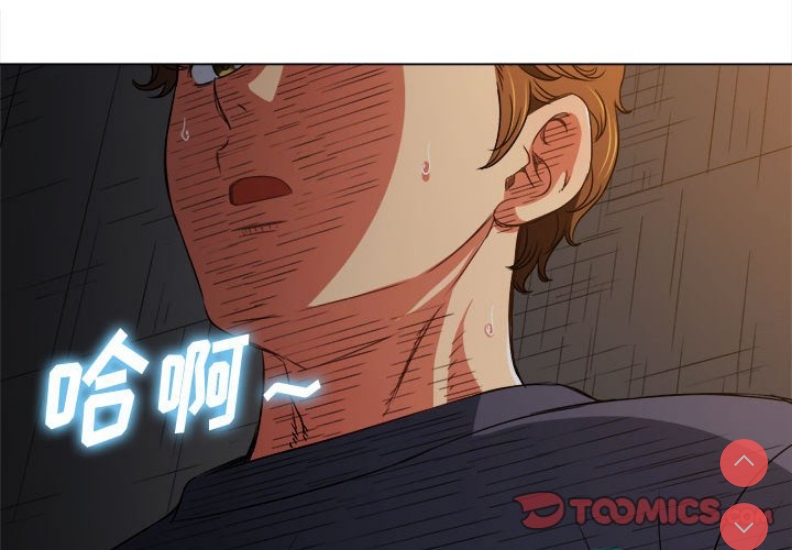 第 4 张