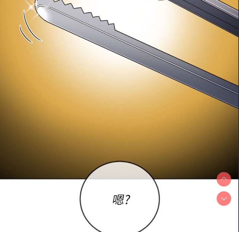 第 5 张