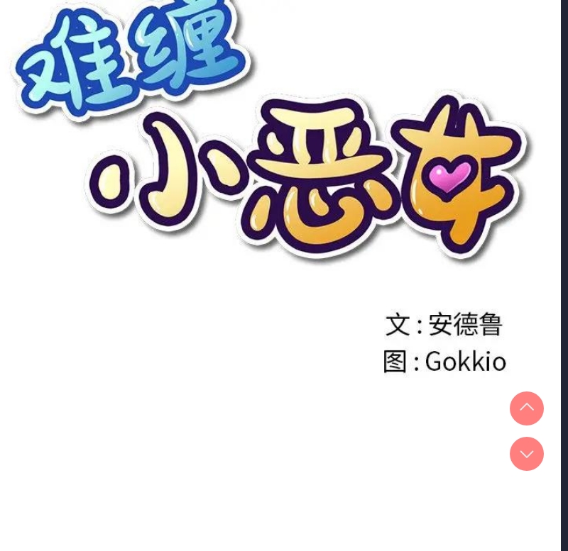 第 12 张