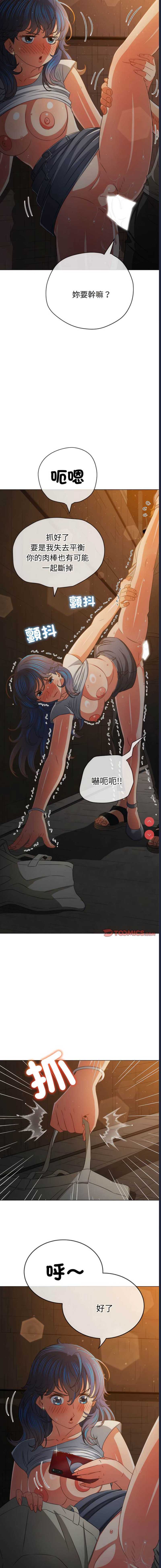 第 12 张
