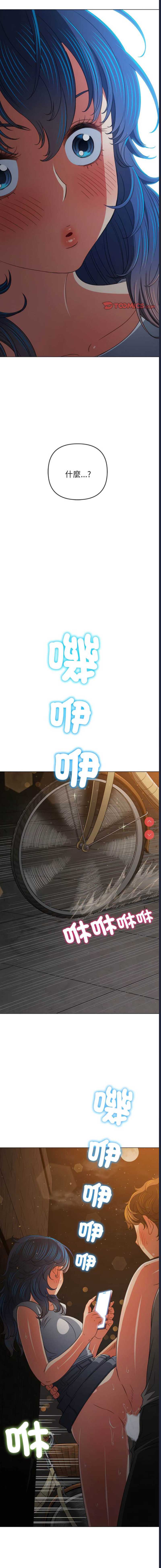 第 6 张