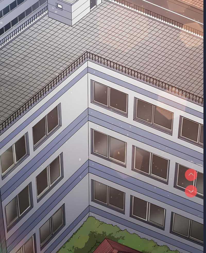 第 3 张