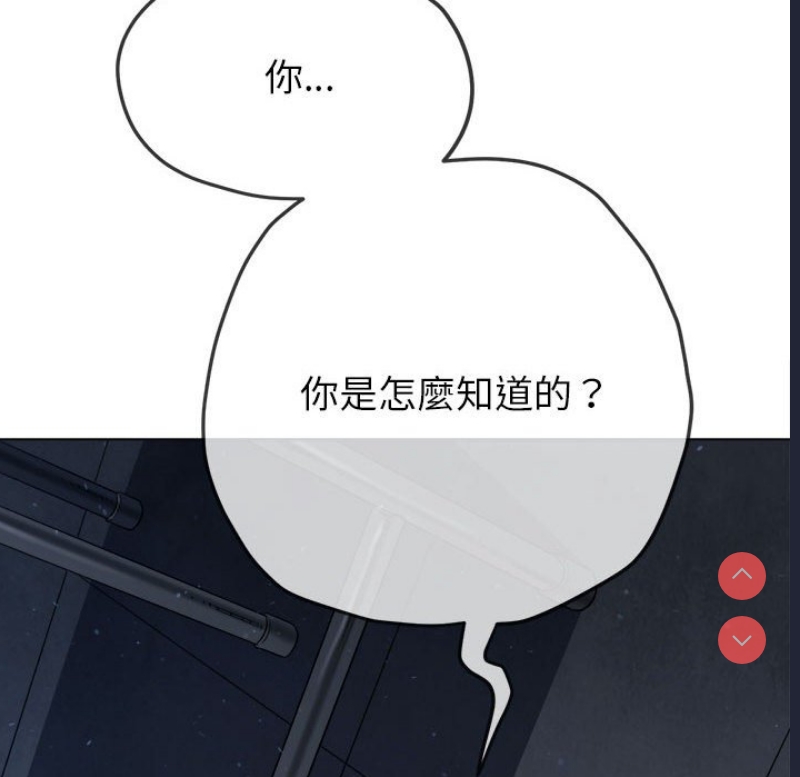 第 11 张