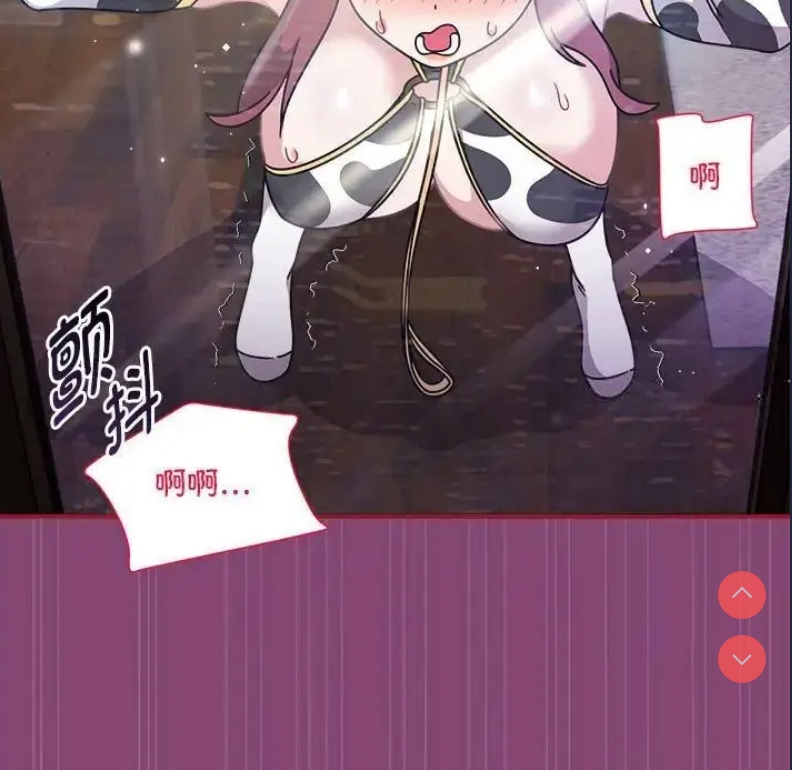 第 5 张