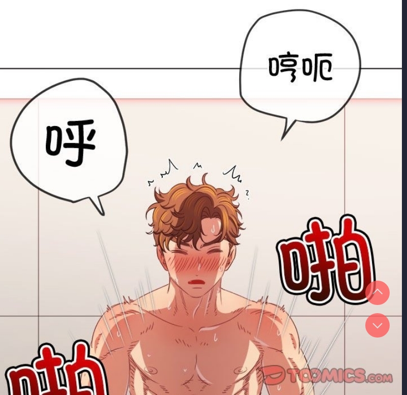 第 12 张
