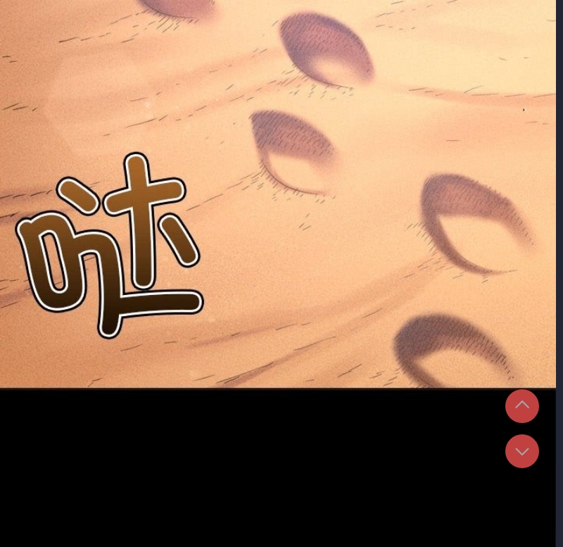 第 9 张