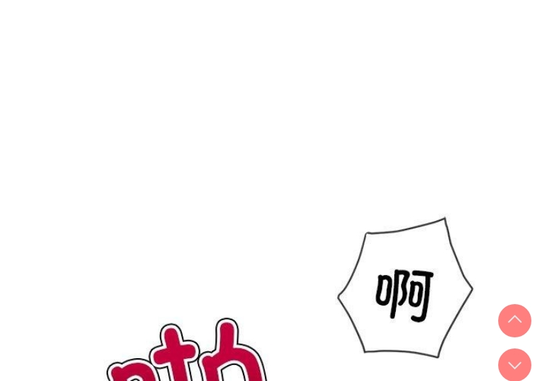 第 3 张