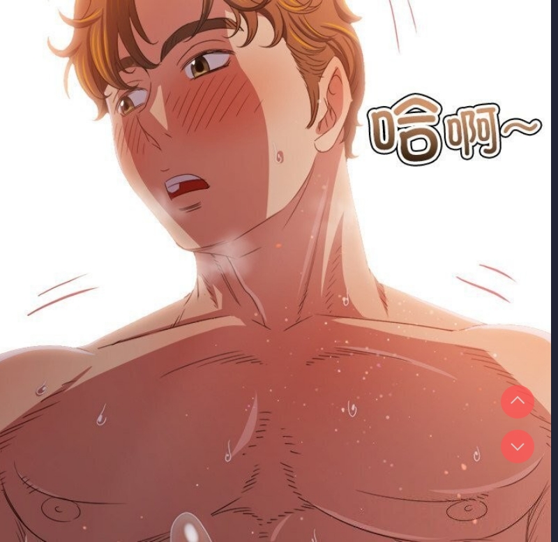 第 12 张