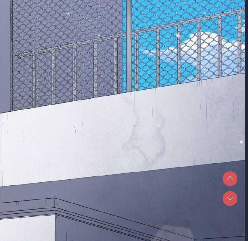 第 10 张
