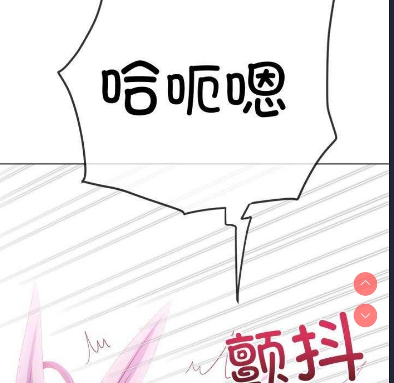 第 8 张