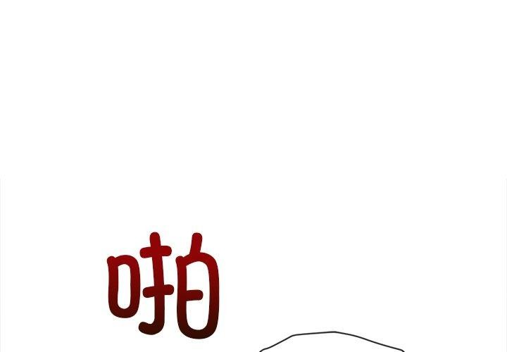 第 3 张
