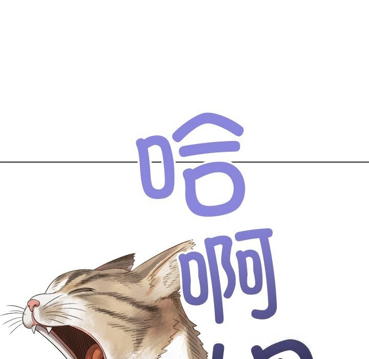 第 7 张