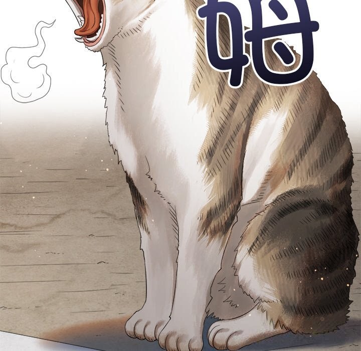 第 8 张